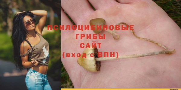 экстази Алексин